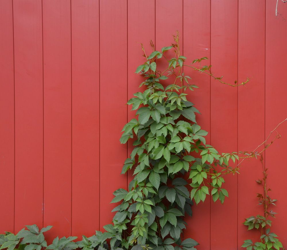 Photograph by Анастасия Смирнова