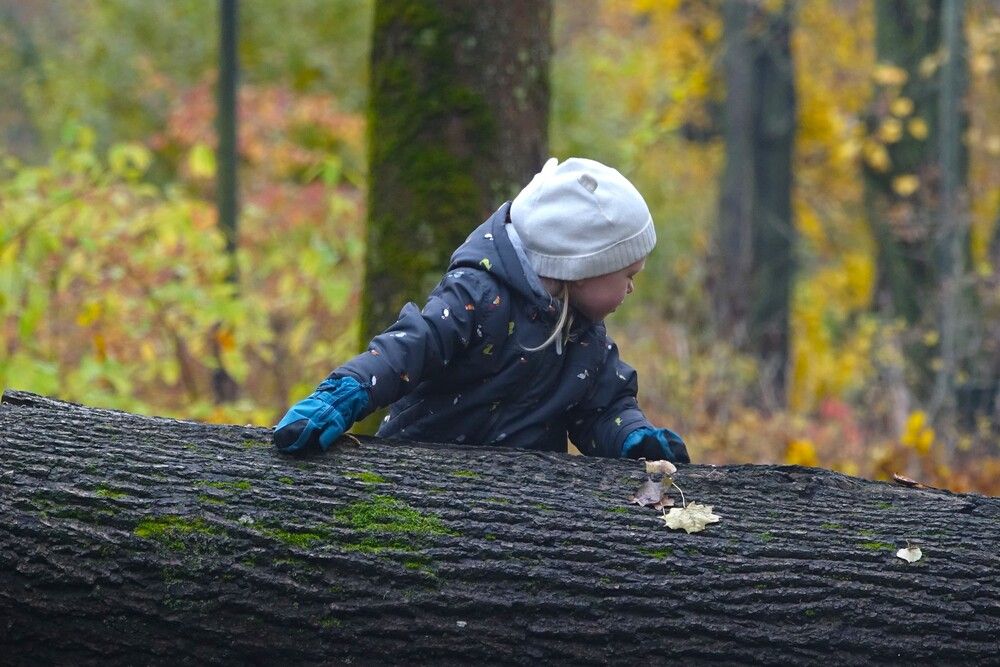 Photograph by jelena konickaja