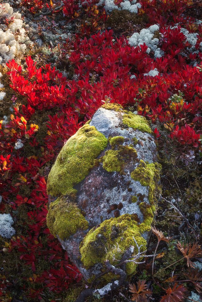 Photograph by Сергей Гарифуллин