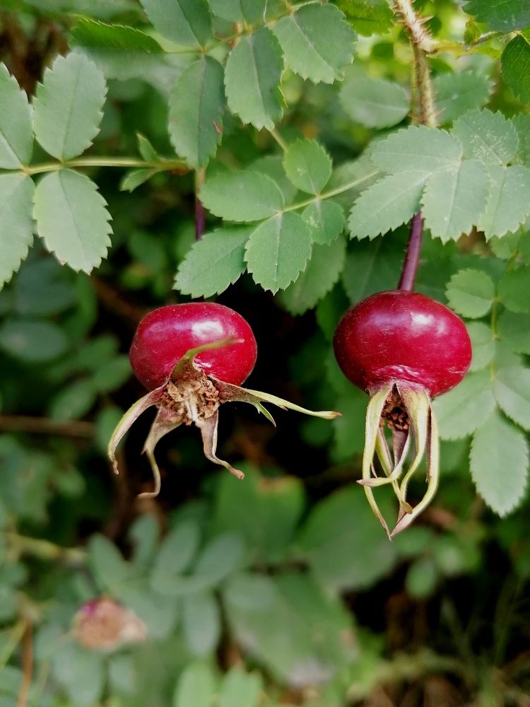 Photograph by Marina Tushina