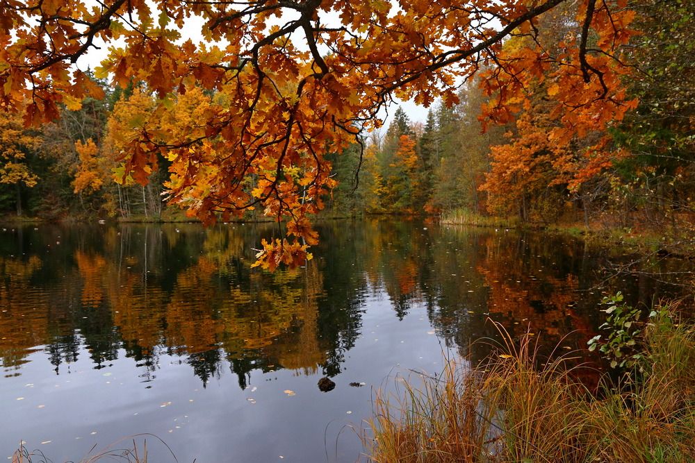 Фотография автора Александр Кожевников