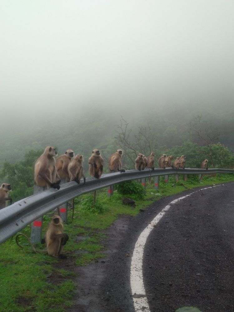Photograph by sumit sitole