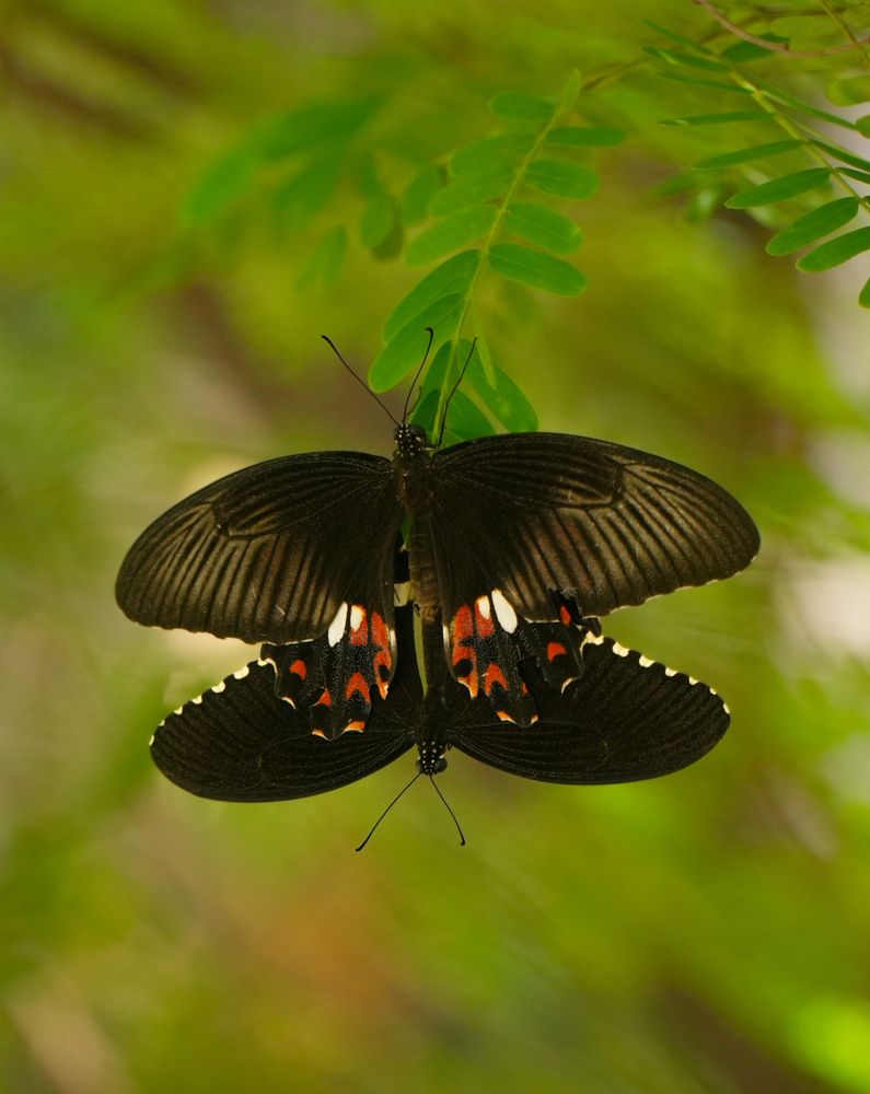 Photograph by SARAVANA MANICKAM