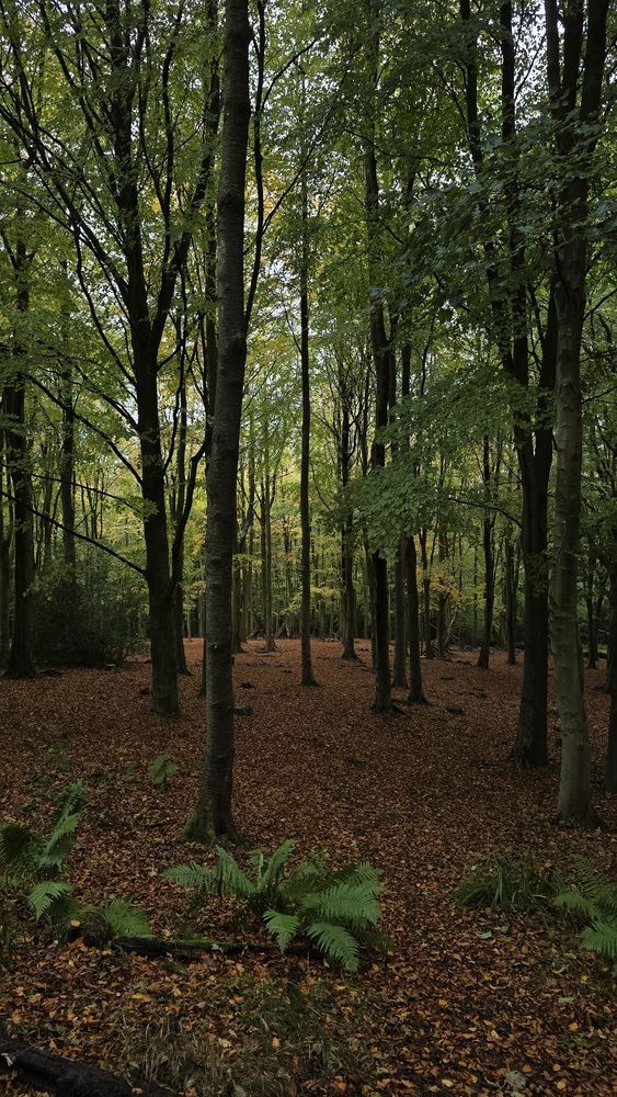 Photograph by Ekaterina Kazarez