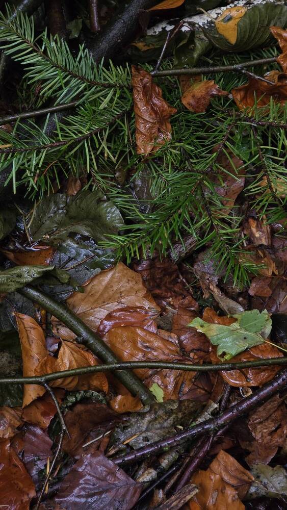 Photograph by Ekaterina Kazarez