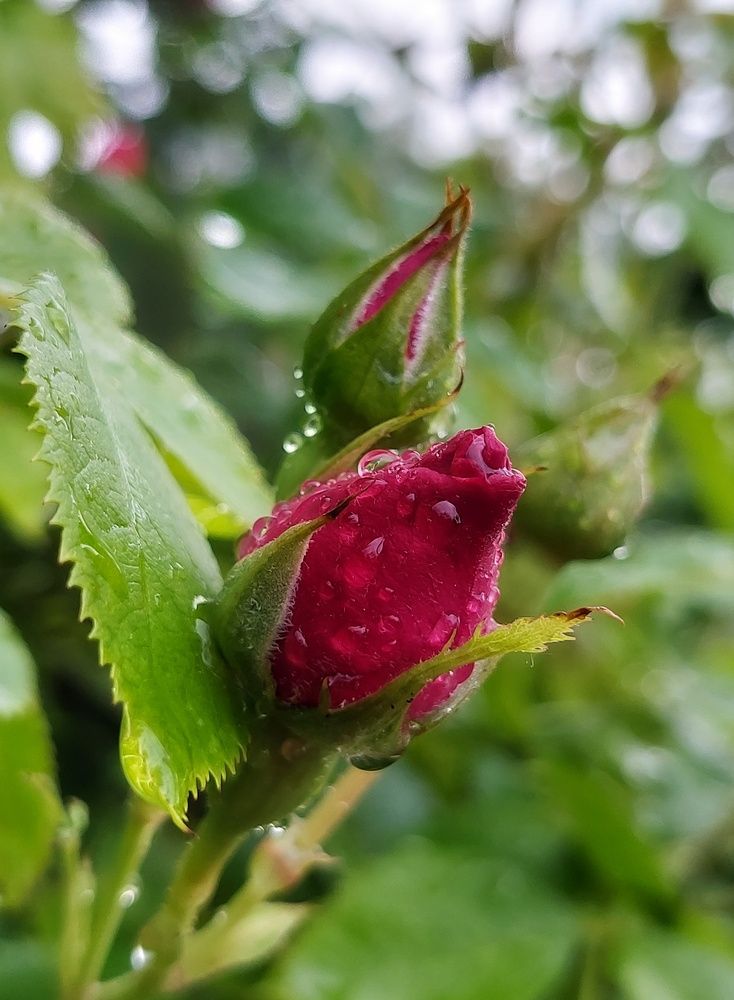 Photograph by Екатерина Баклыкова