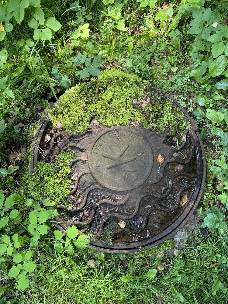 Photograph by Светлана Лебедева