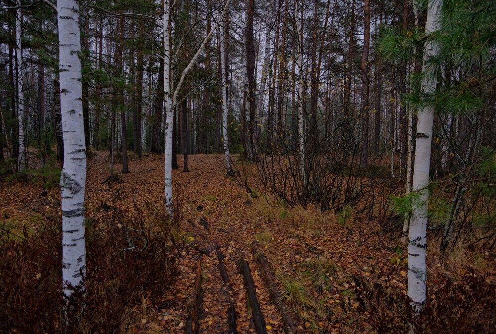 Photograph by Ivan Kravchenko