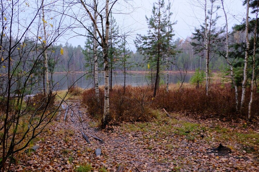 Photograph by Ivan Kravchenko