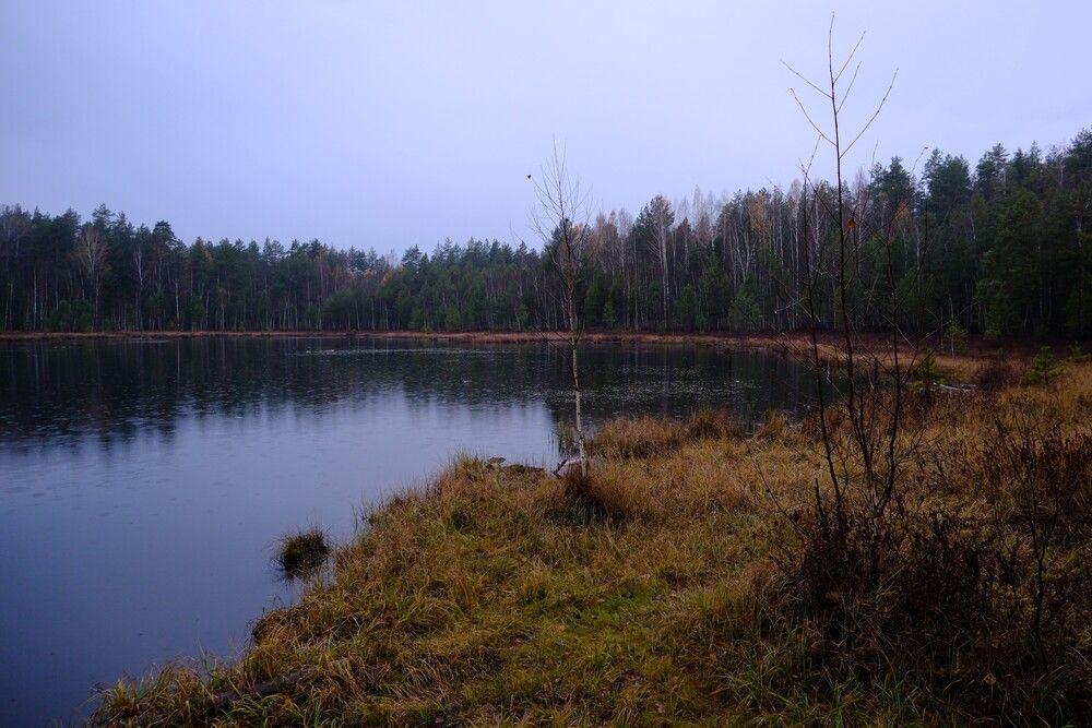 Photograph by Ivan Kravchenko