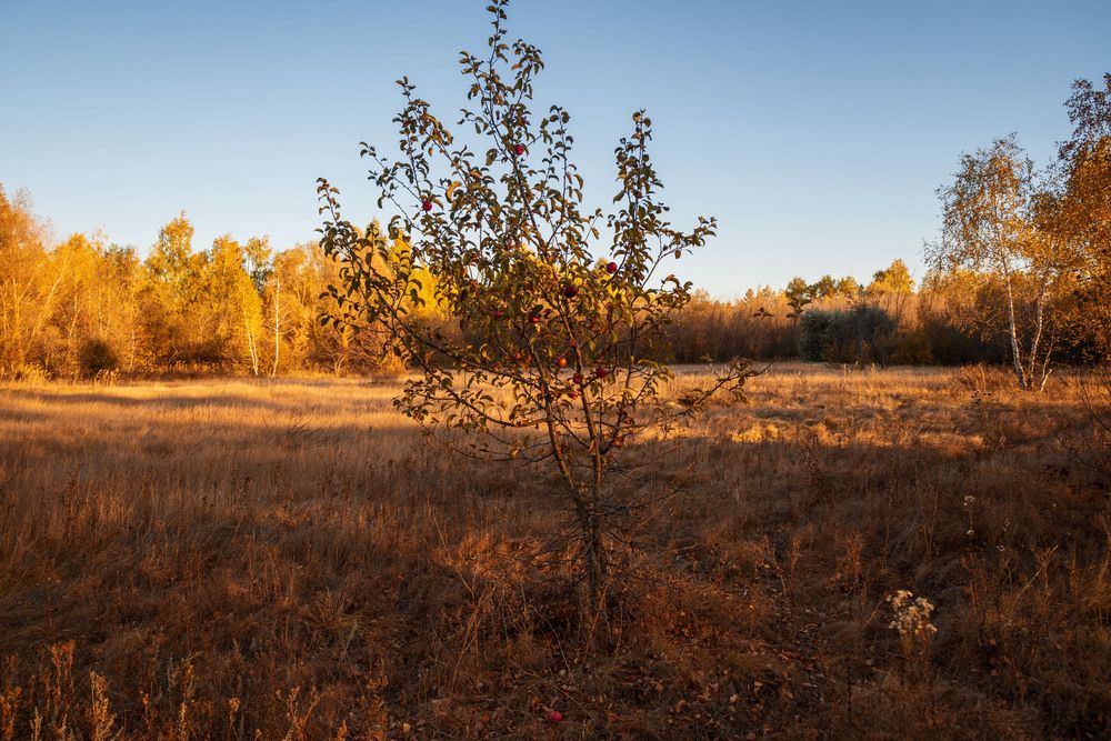 Photograph by Александр Журов