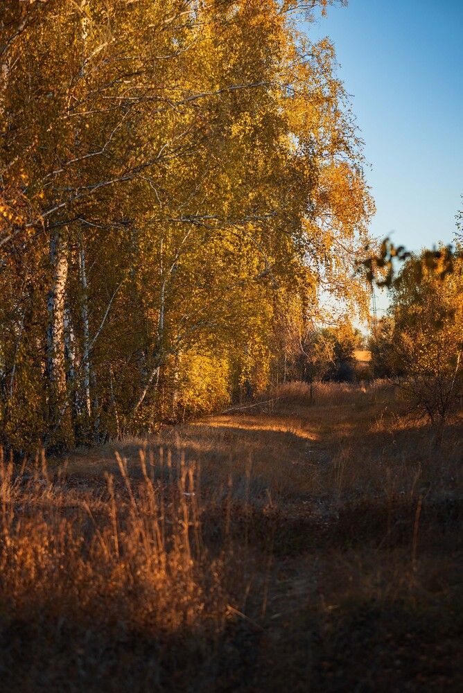 Photograph by Александр Журов