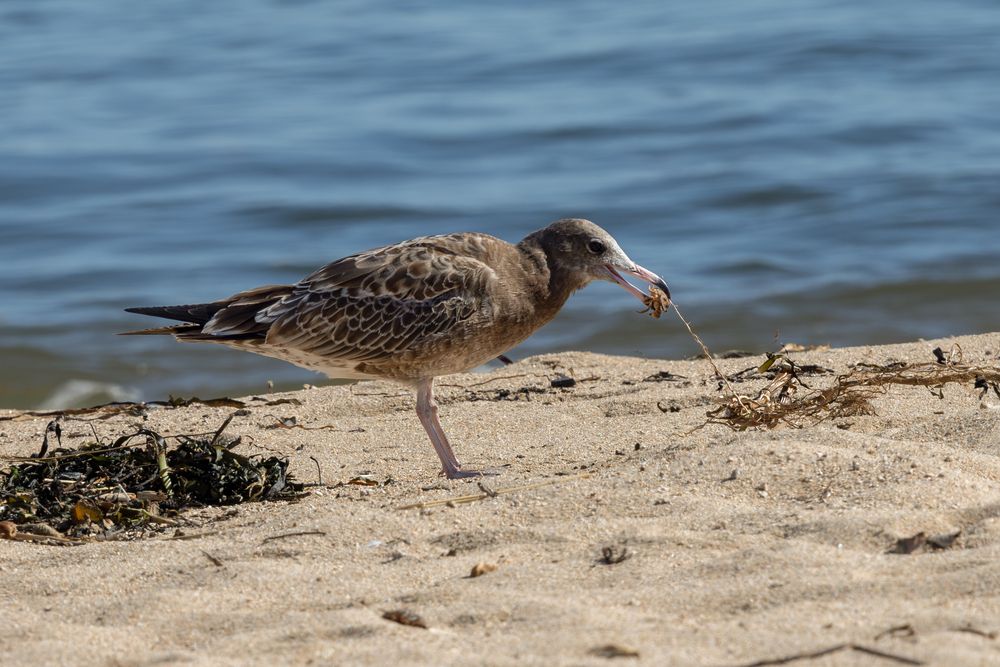 Photograph by Юлия Яковлева