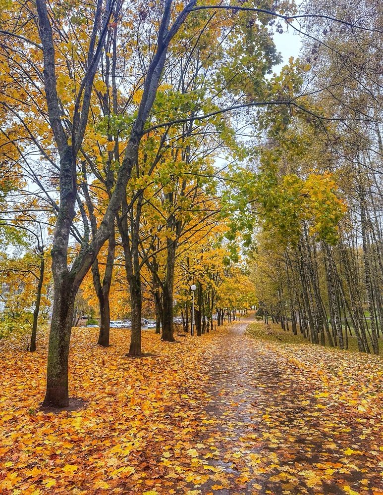 Photograph by Армен Егиян