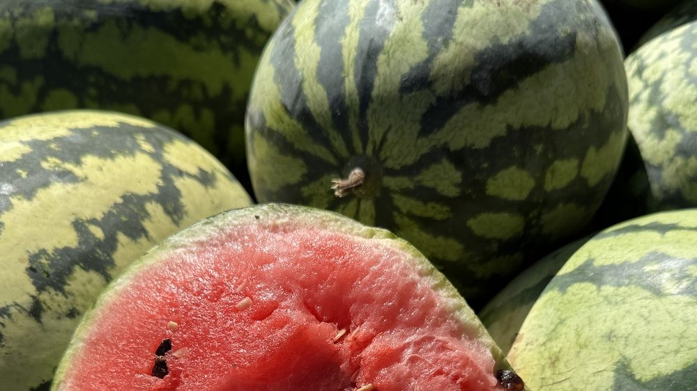 Photograph by Сергей Смирнов