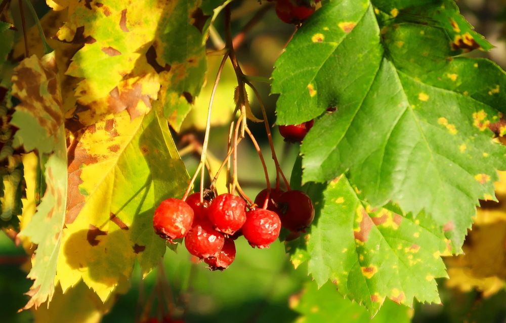 Photograph by Нина