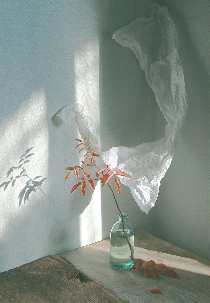 Photograph by Валентина Евсеева