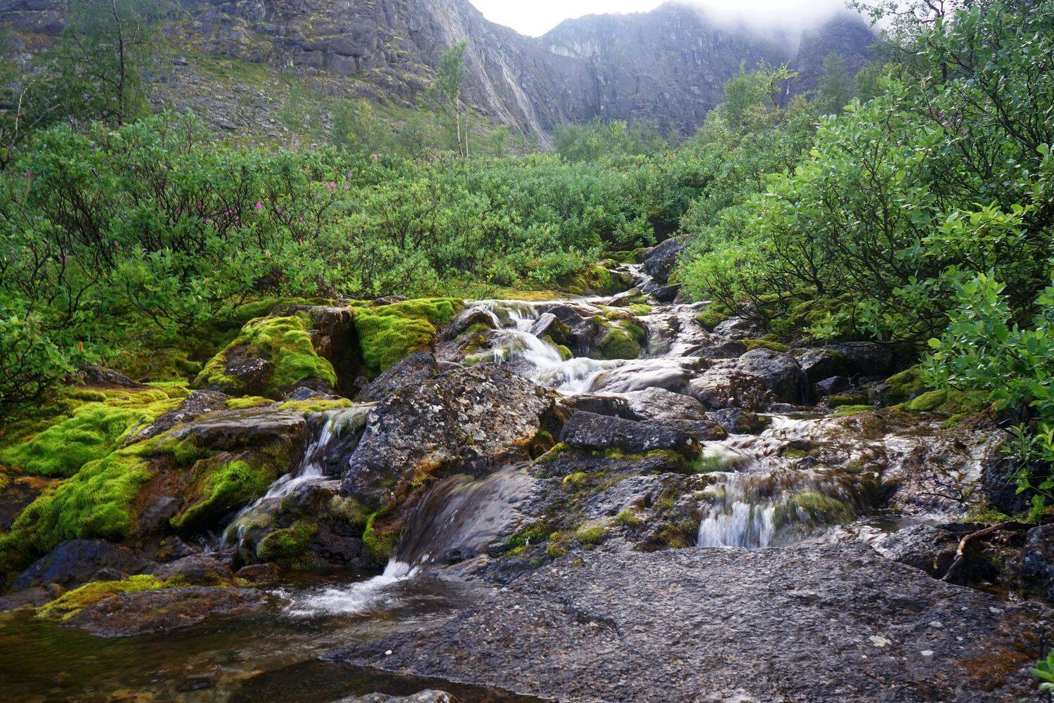 северный пейзаж северный пейзаж
