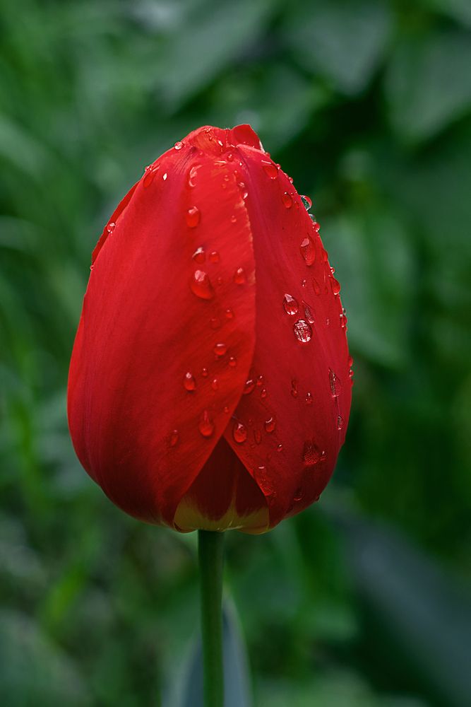 Photograph by Забудская Наталья