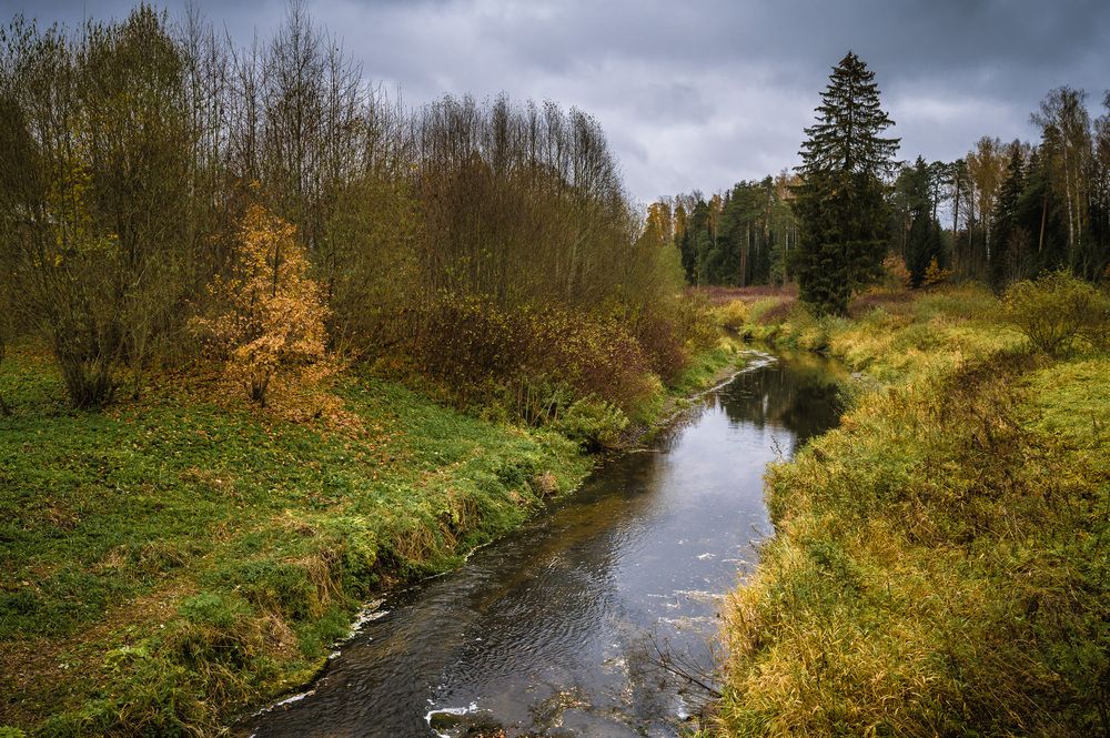 Вид на р. Славянку с Новосильвийского моста. Октябрь.