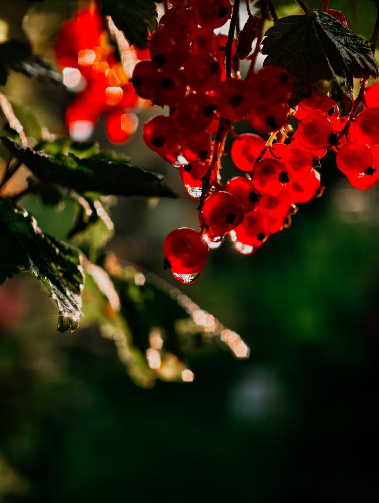 Photograph by Евгений Порсов