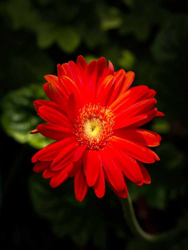 Photograph by Евгений Порсов