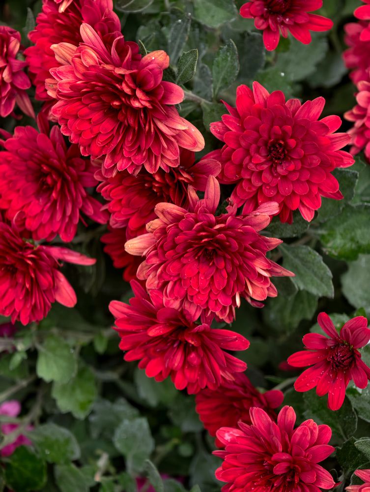 Photograph by Евгений Порсов