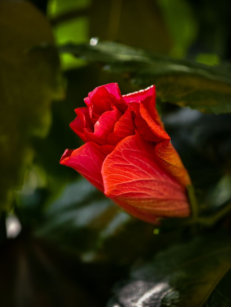 Photograph by Евгений Порсов