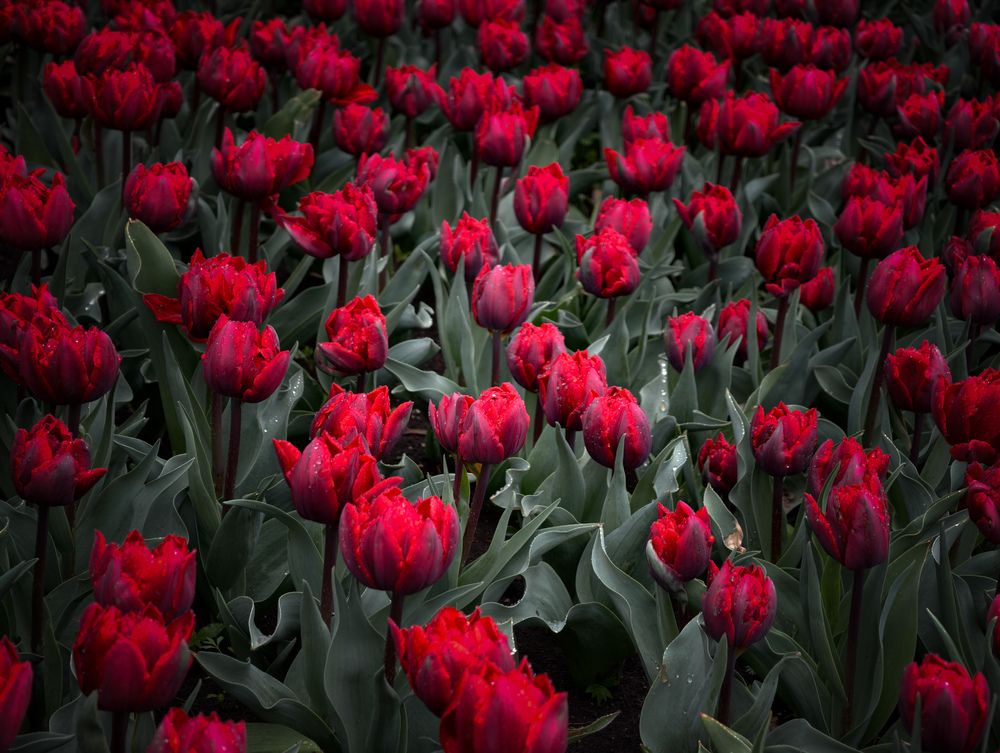 Photograph by Евгений Порсов