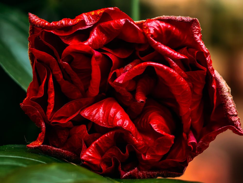 Photograph by Евгений Порсов