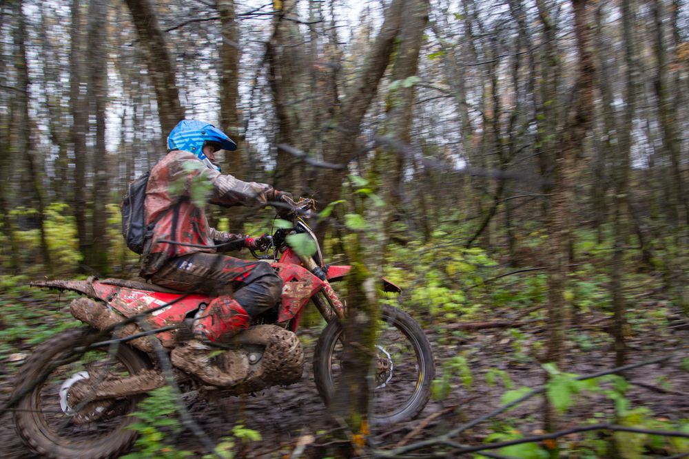 Фотография автора Алина Руденко