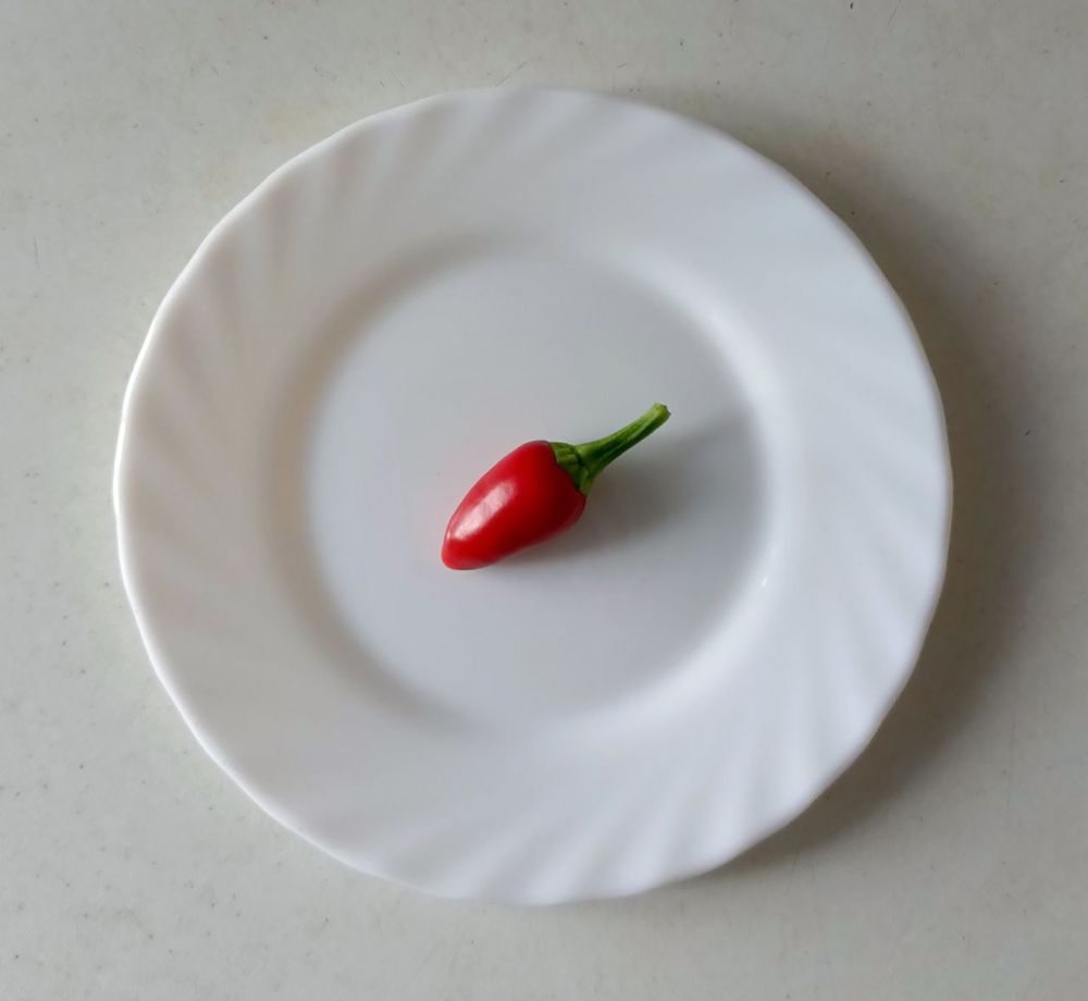 Photograph by Максим Торохов