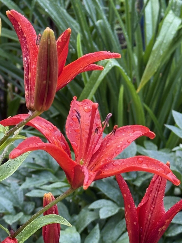 Photograph by Ольга Желтова