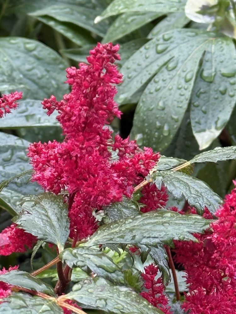 Photograph by Ольга Желтова