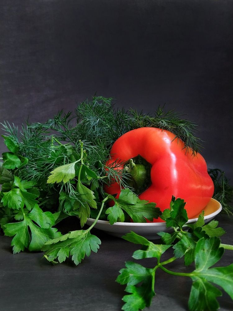 Photograph by Надежда Горчакова