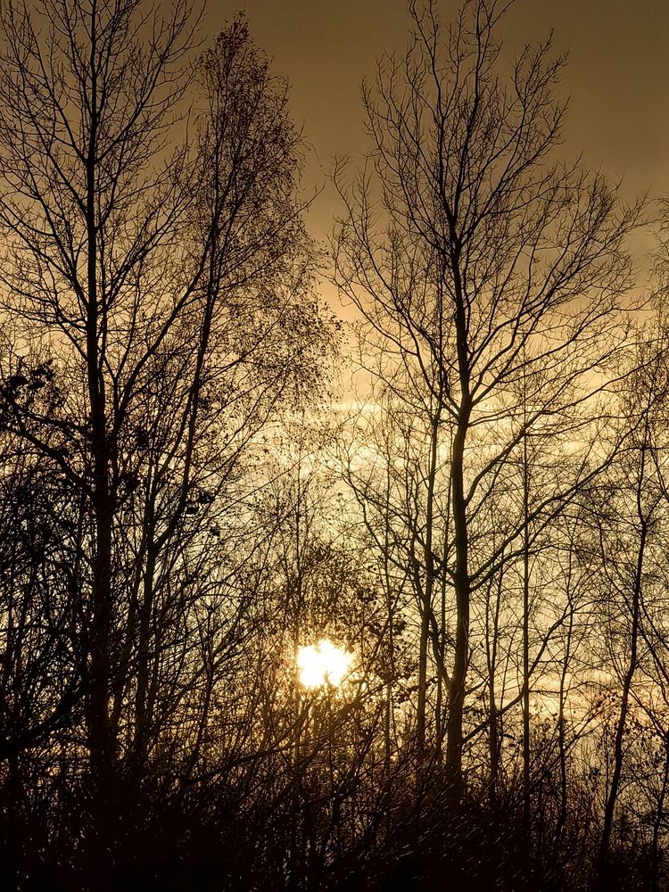 Photograph by Екатерина