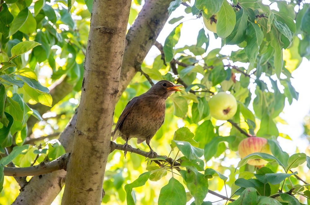 Photograph by Михаил Еремеев