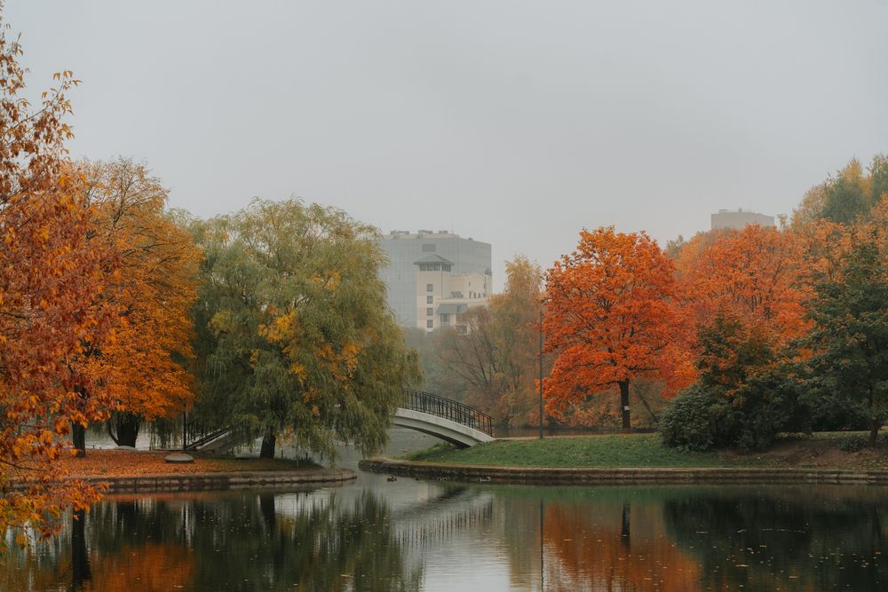 Фотография автора Дарья Чистякова