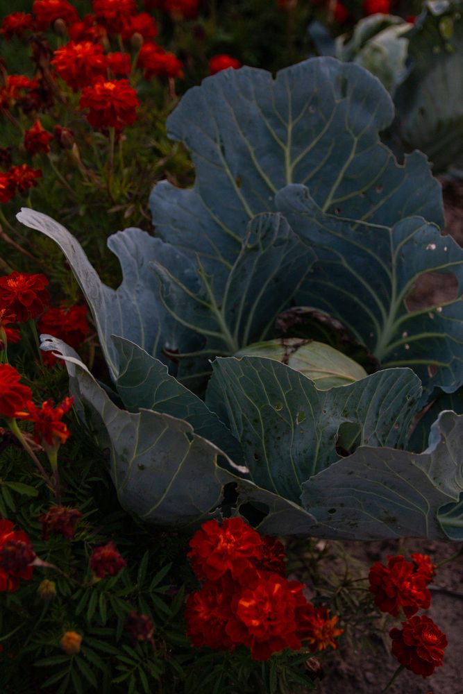 Photograph by Ирина Рыжова