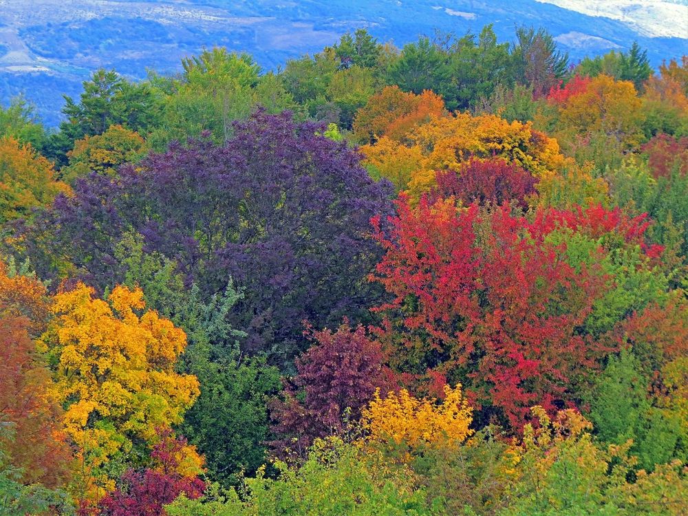 Photograph by Фартушняк Сергей