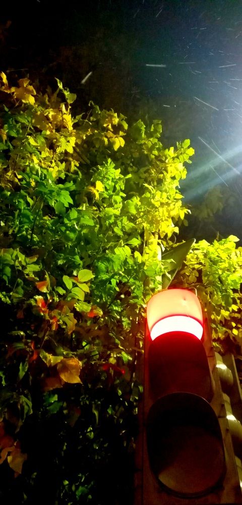 Photograph by Елена Воронова