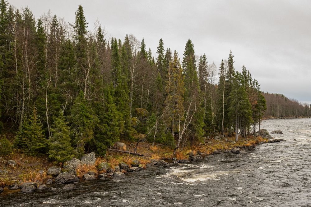 Photograph by Tanzilya Gabidullina