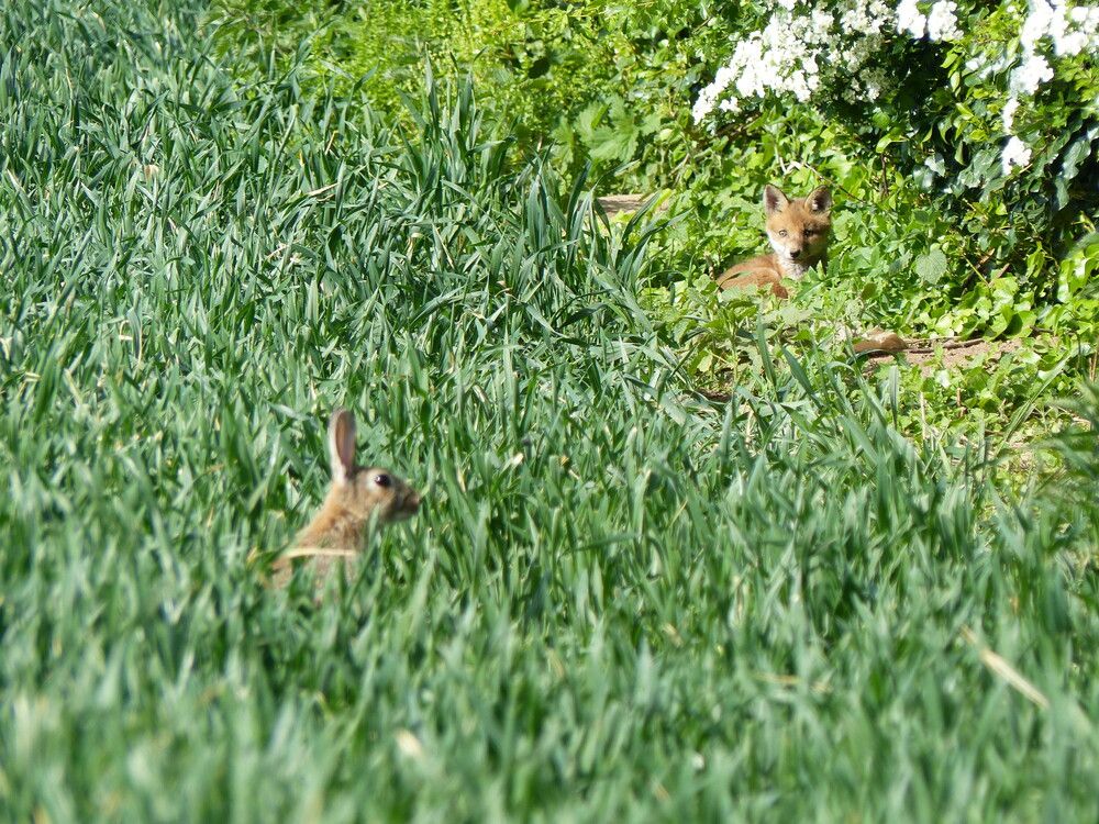 Photograph by Isabella Northrop