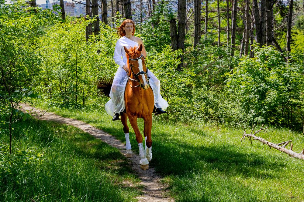 Фотография автора Dmitri Gorbunov