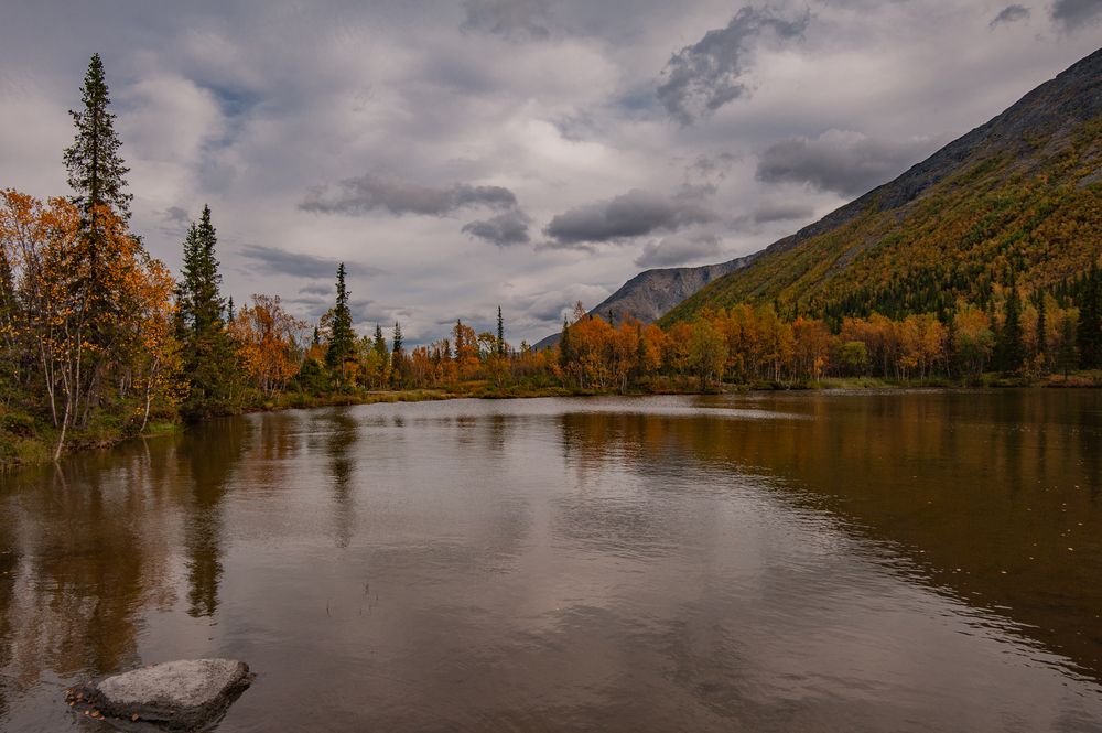 Photograph by Олег Корешонков