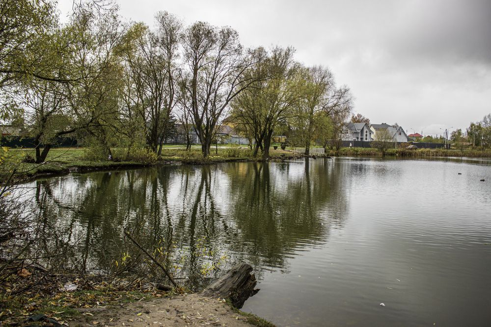 Photograph by Елена Беланенко