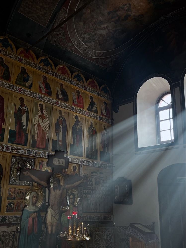 Photograph by Дарья