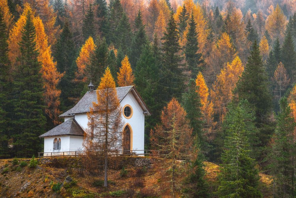 Photograph by Alain Veldin