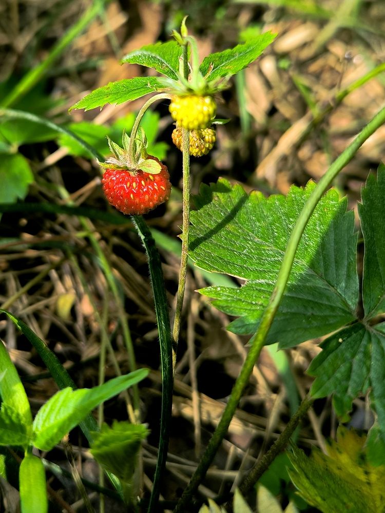 Photograph by Александр Житник