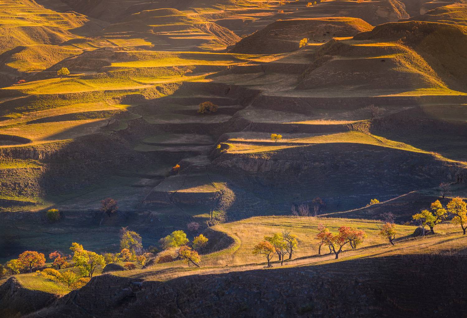 Фотография #12757518